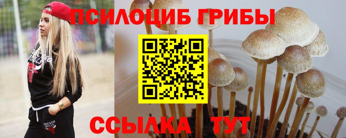 Торжок  дарнет шоп  Галлюциногенные грибы GOLDEN TEACHER  Вход с VPN  Псилоцибиновые грибы MAGIC MUSHROOMS 